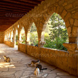 "Saint Nicholas of the Cats" stock image No.001178